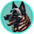 coin-logo