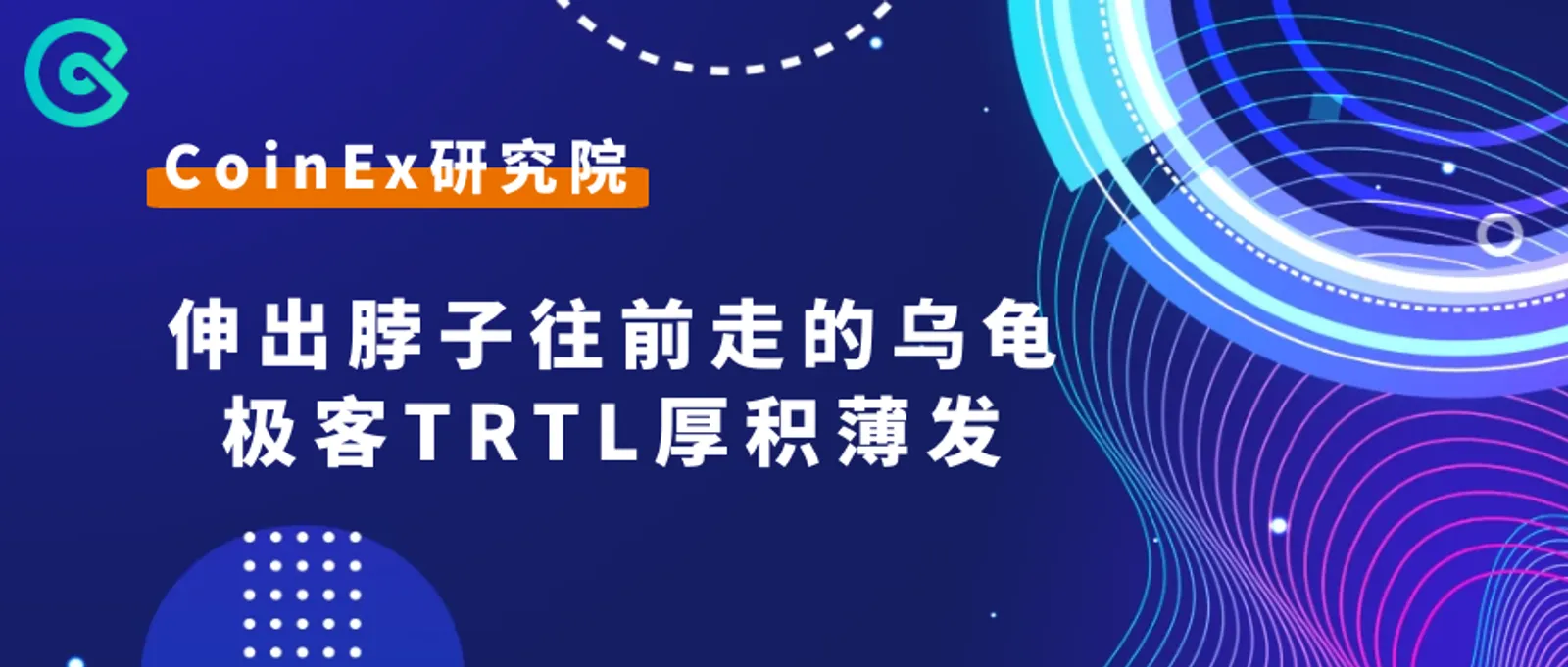 伸出脖子往前走的乌龟，极客TRTL厚积薄发