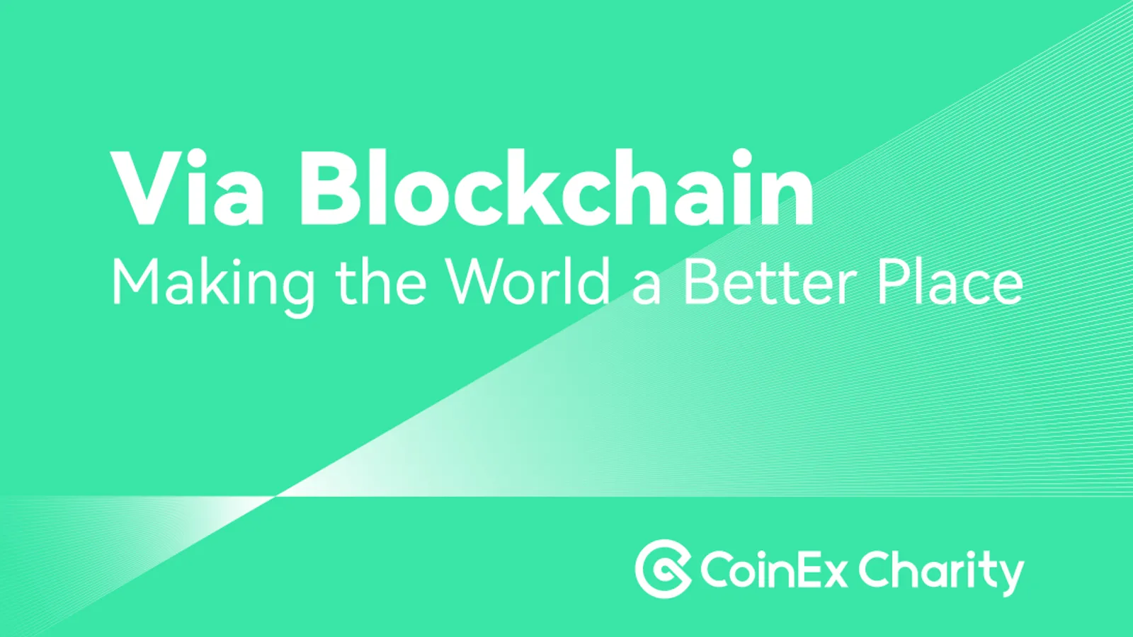 CoinEx Charity |赞助 Consensus2022 Meta Gala慈善义卖，捐助公益教育 - image 4