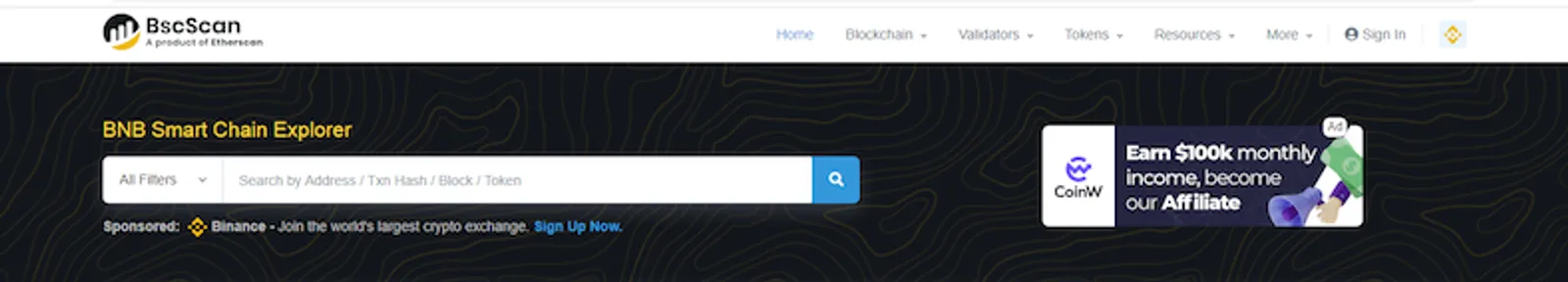 bscscan search bar
