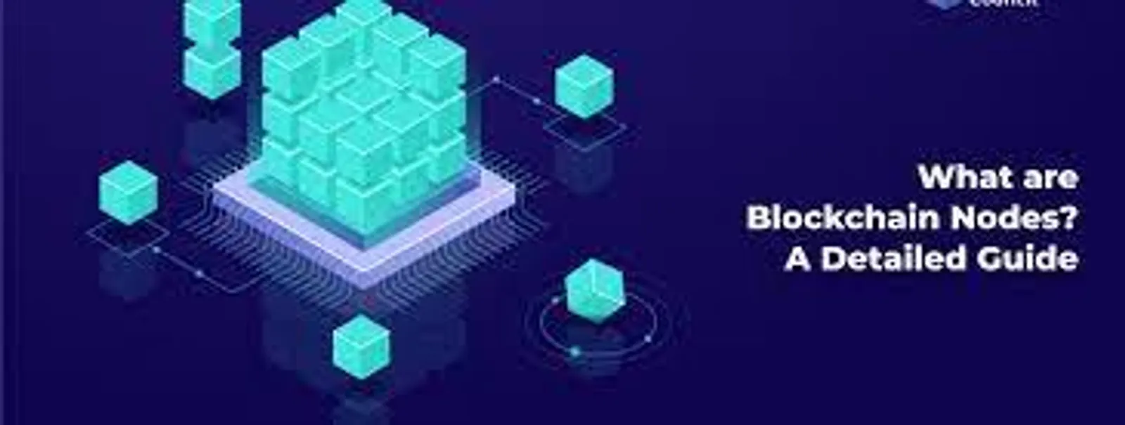 blockchain nodes