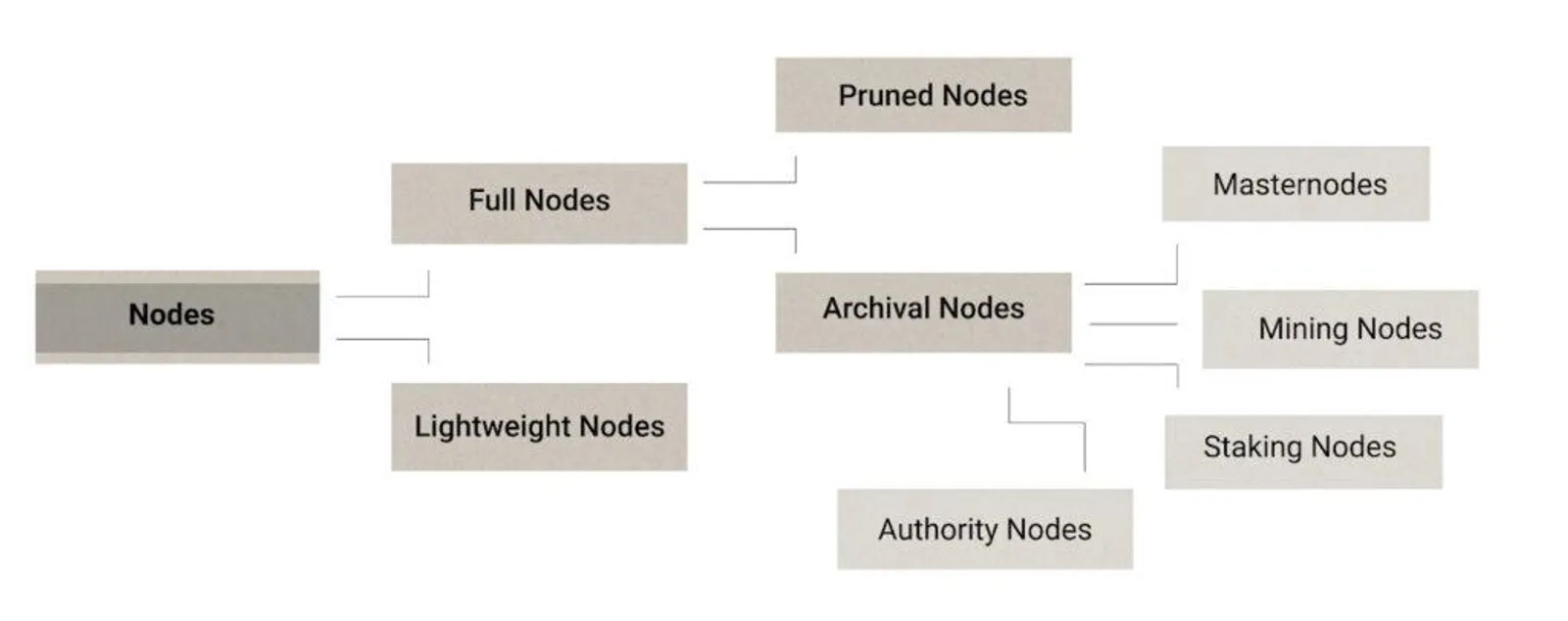 Types of Blockchain Nodes