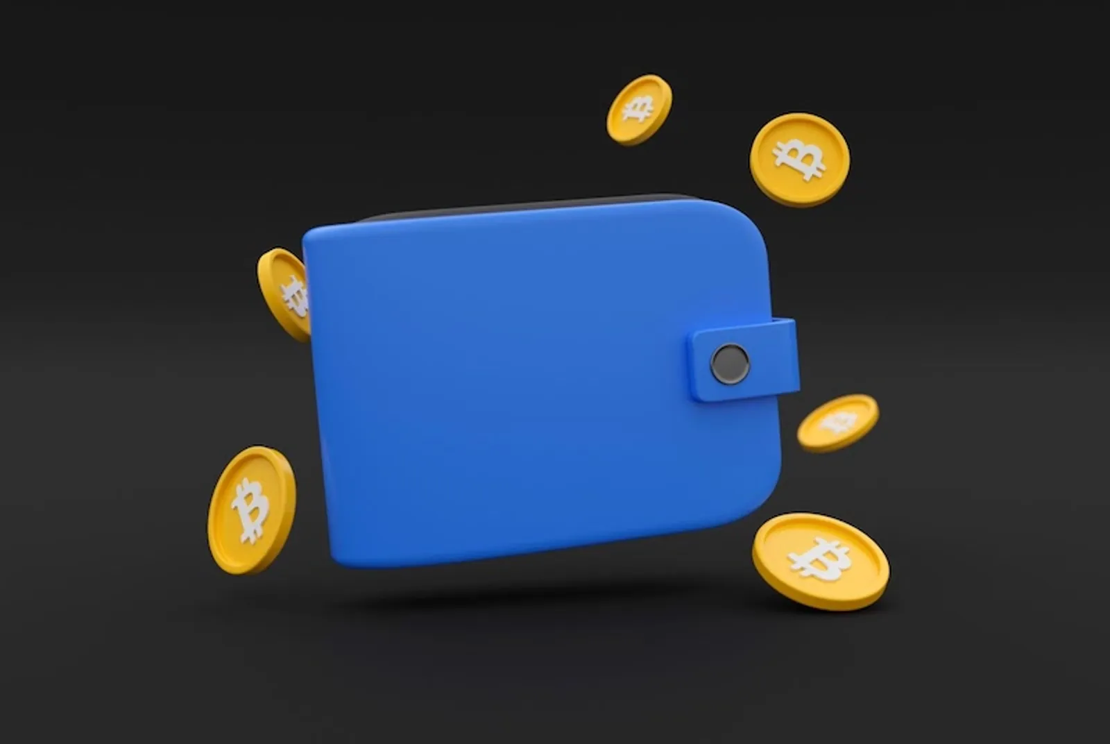 cryptocurrency wallets