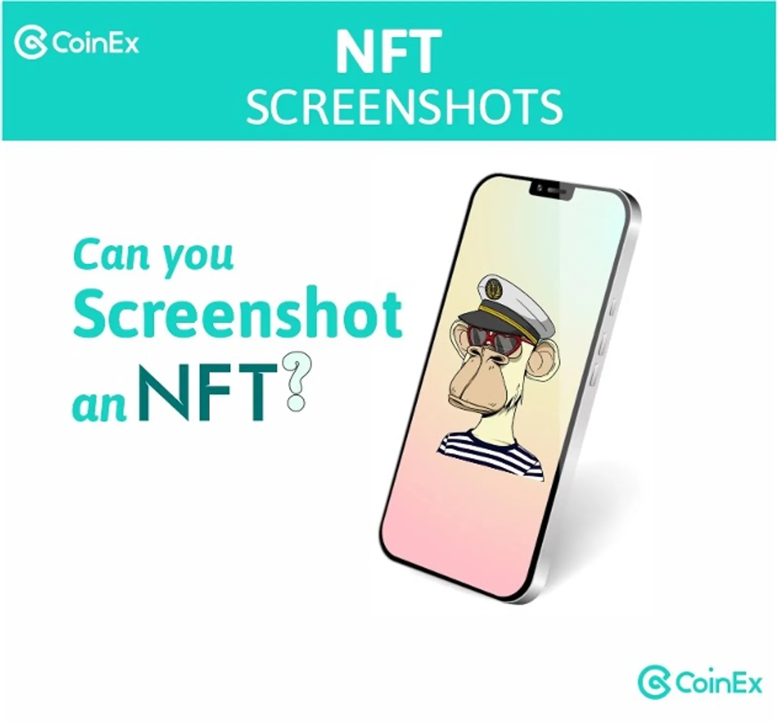 NFT screenshots