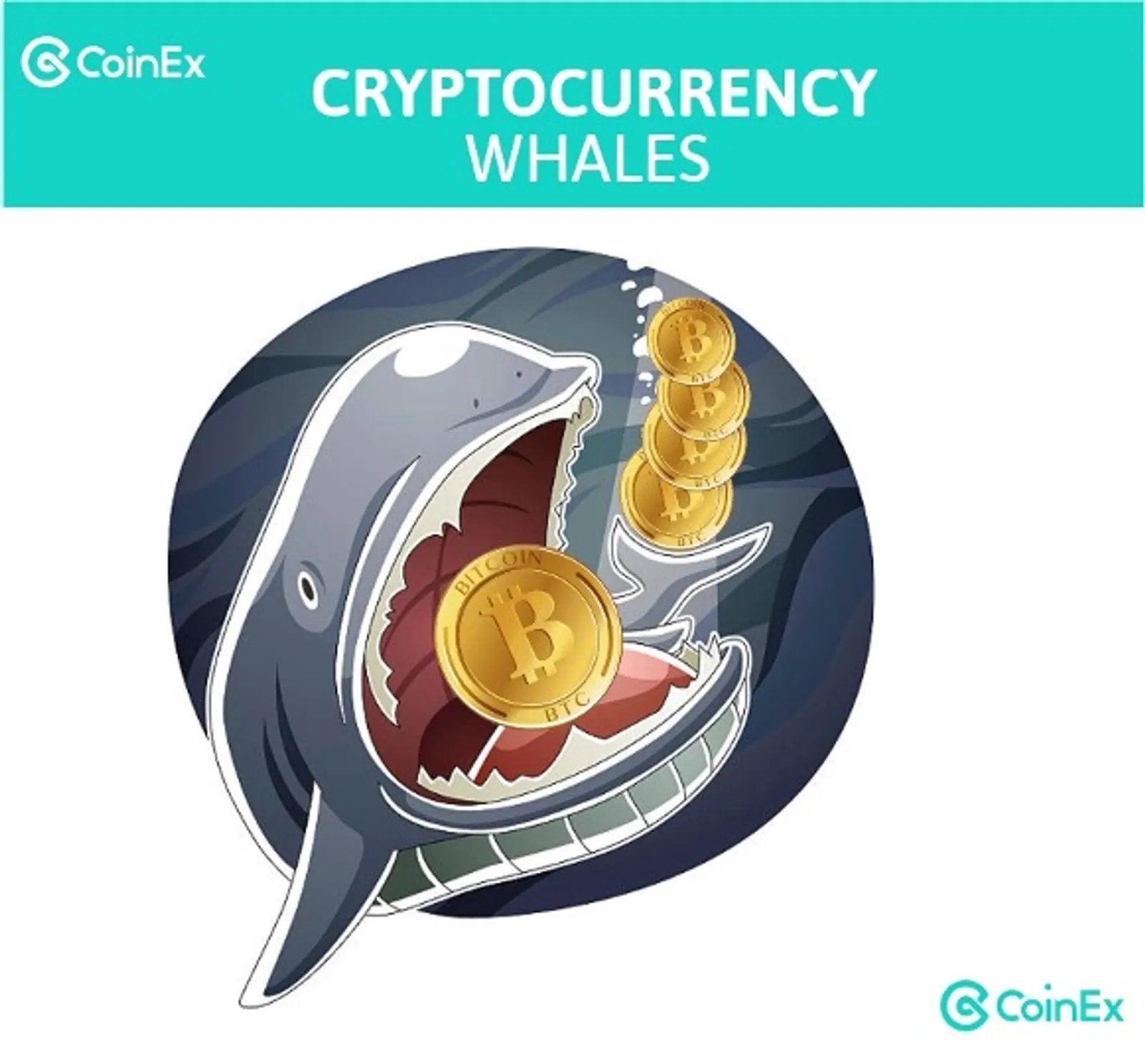 crypto whales