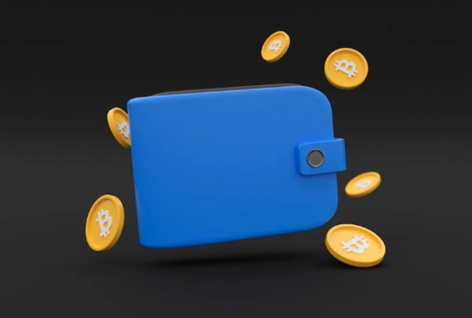 Wallet Custodial