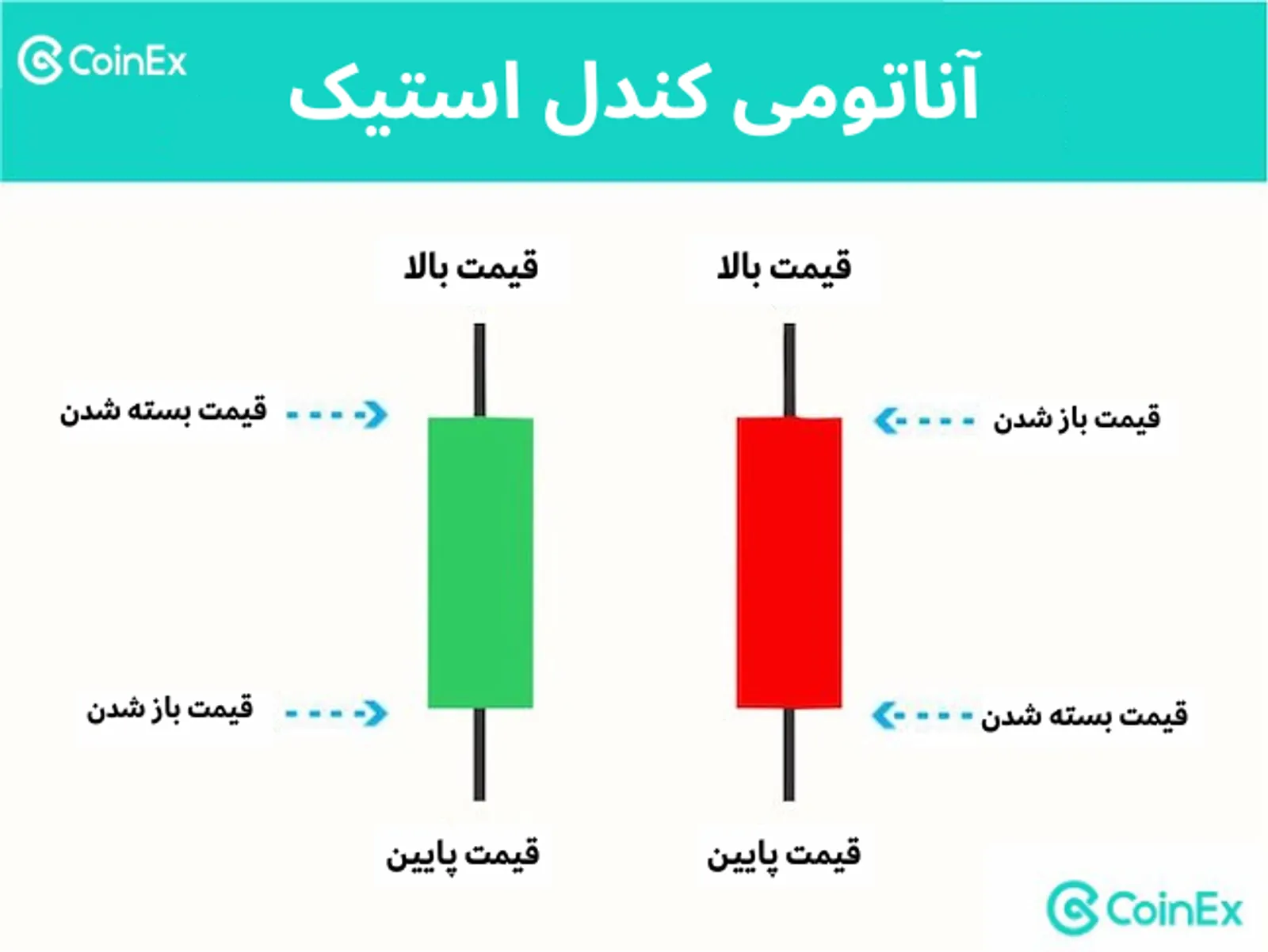آناتومی کندل استیک