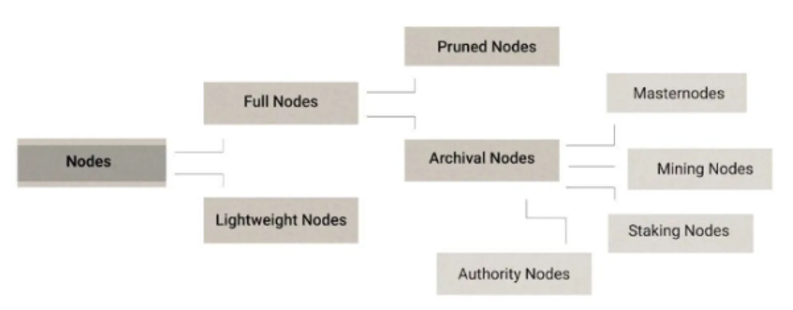 Full Node