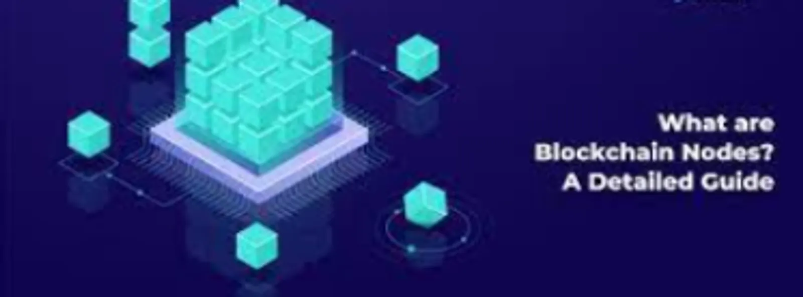 Apa Itu Node