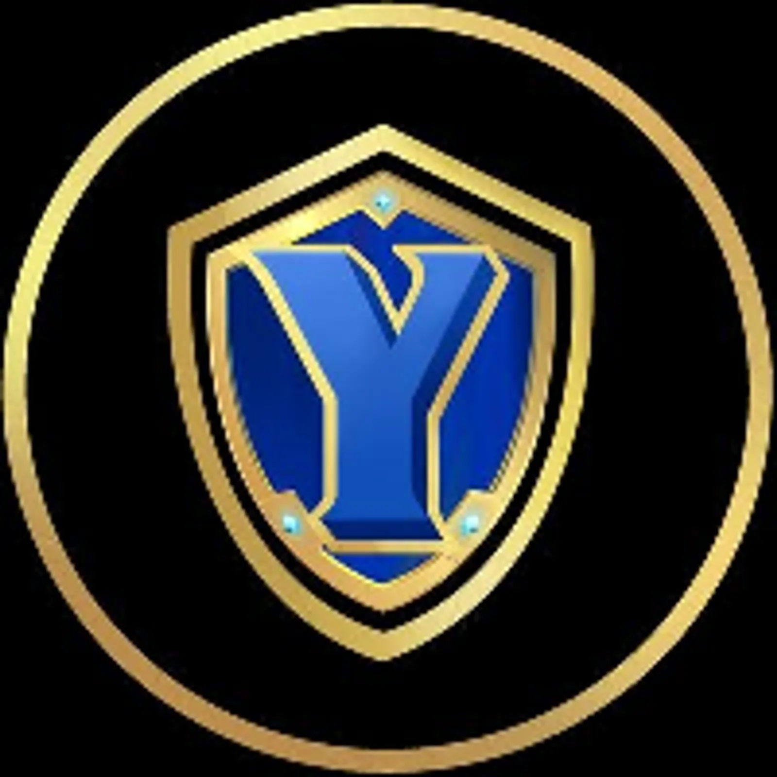 일드 길드 게임즈(YGG)