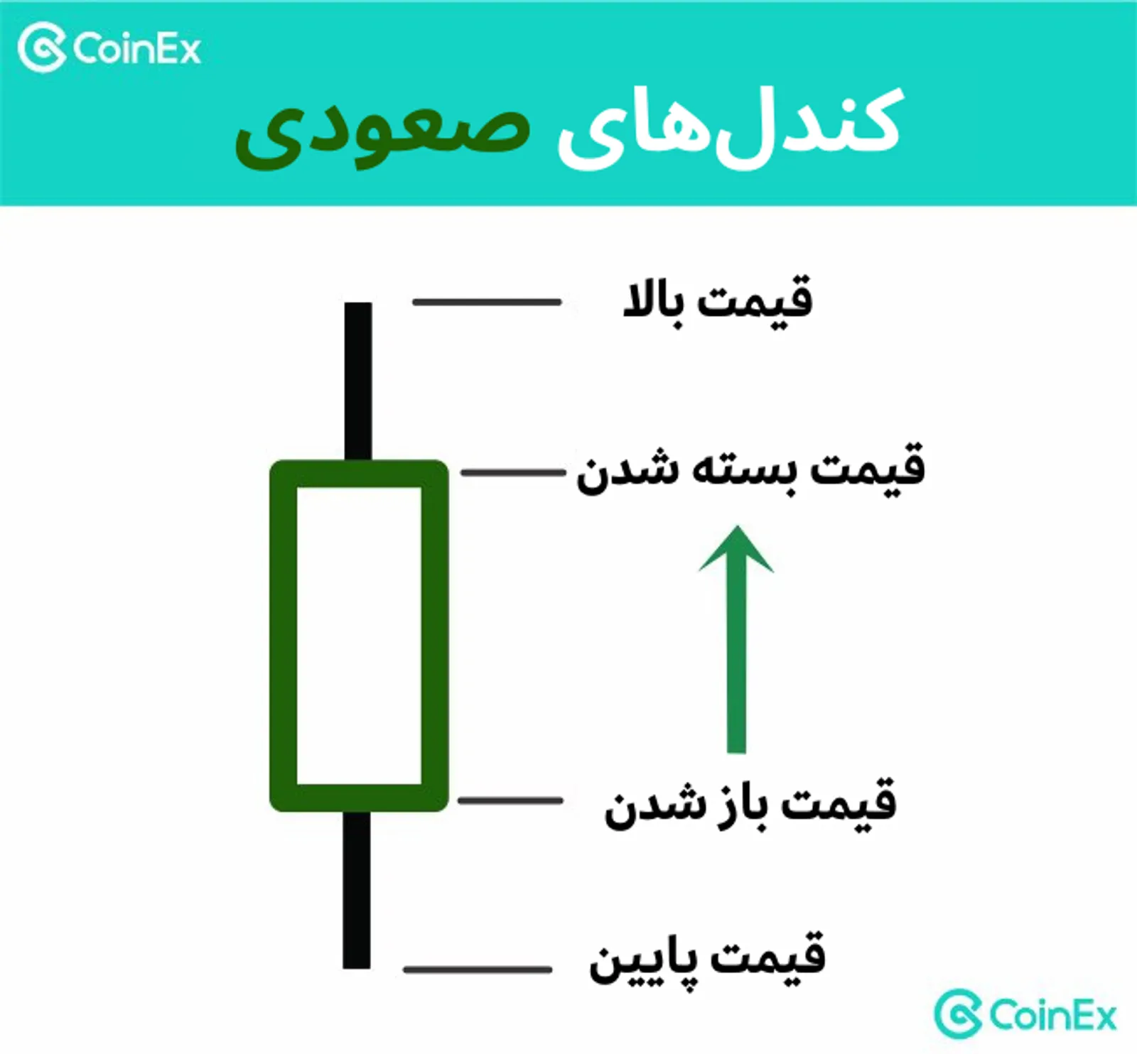 کندل گاوی