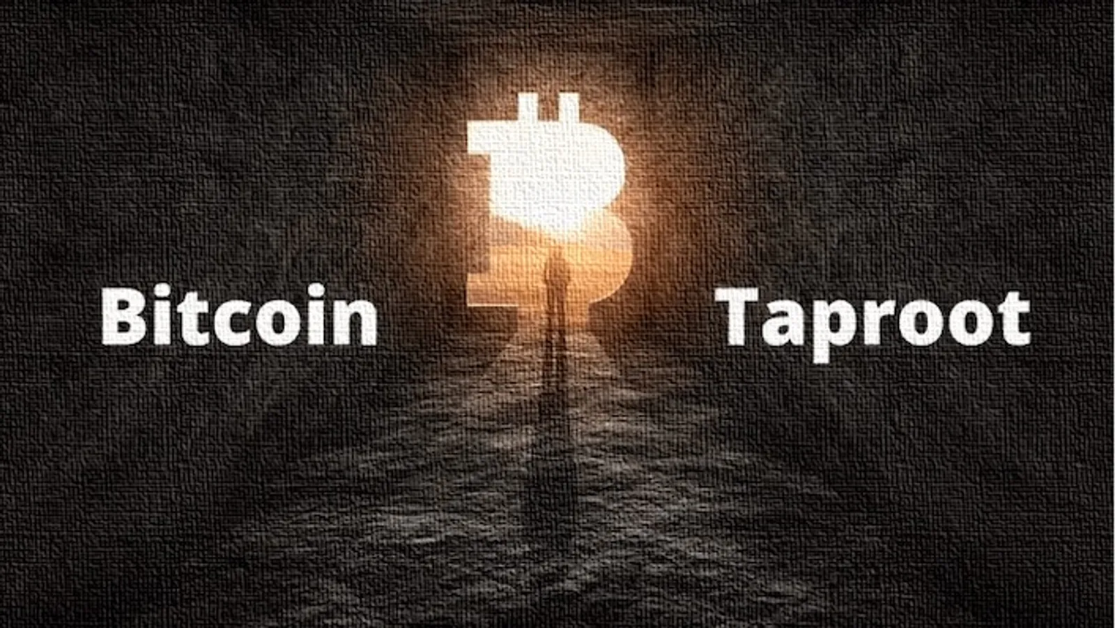&iquest;Qu&eacute; es la actualizaci&oacute;n Bitcoin TapRoot?