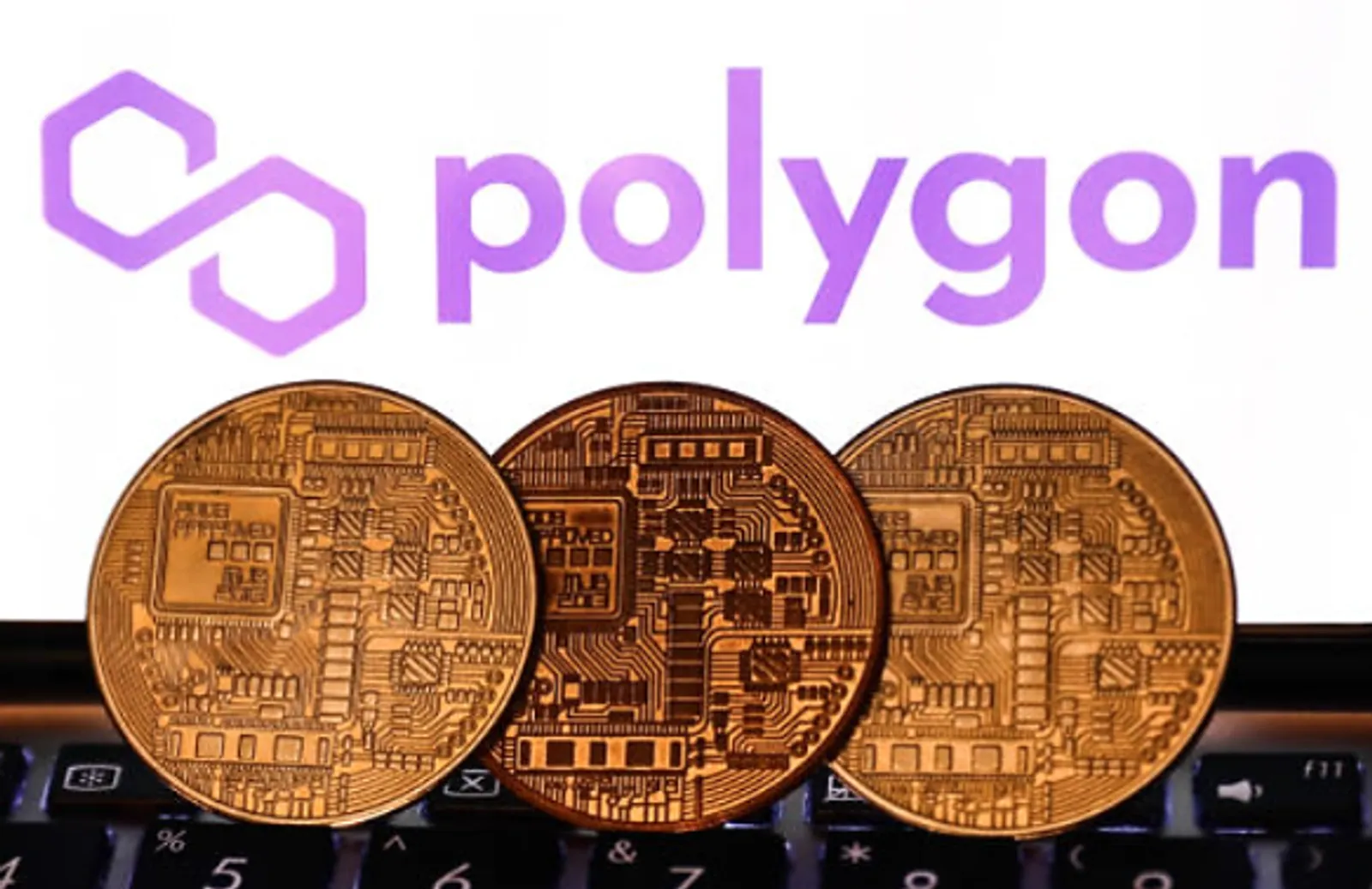 polygon dan layer 2