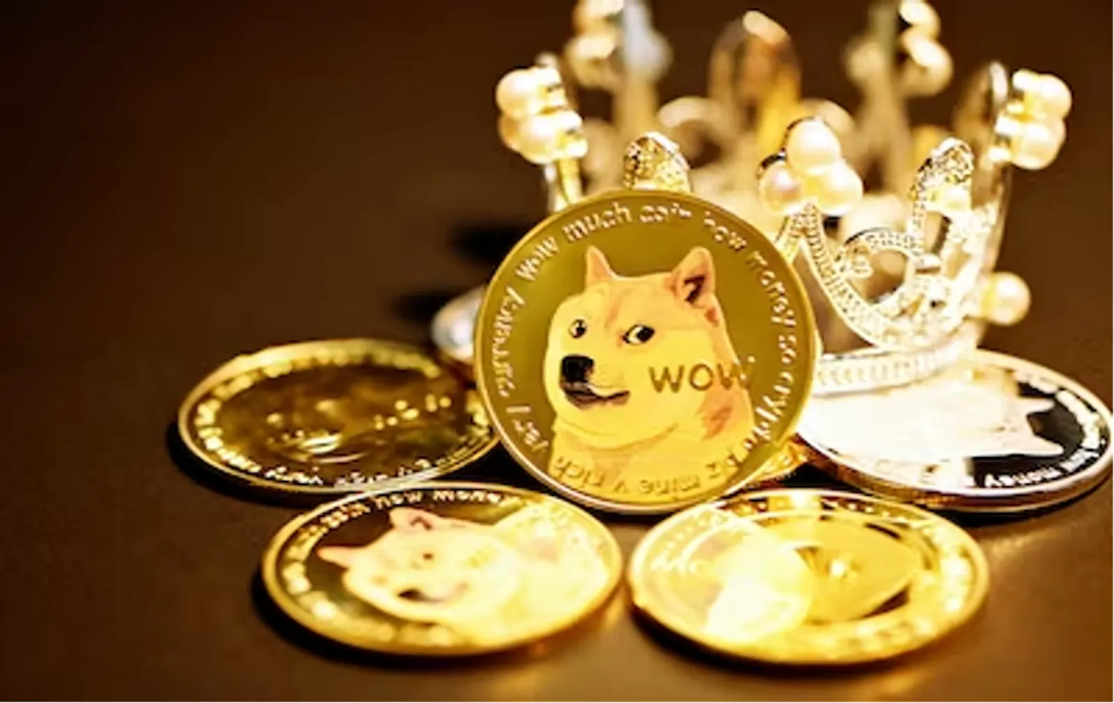 What is Shiba Inu and SHIB Coin