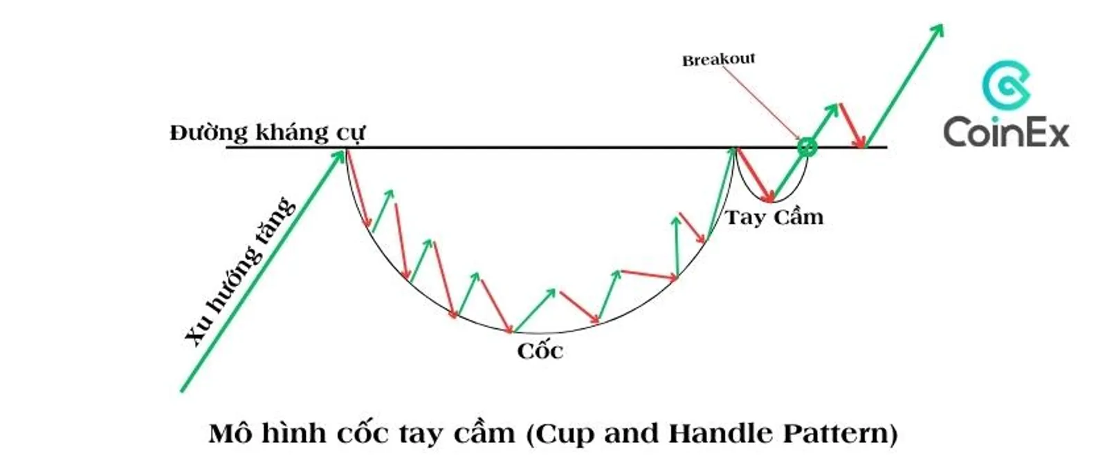Mô hình cốc tay cầm