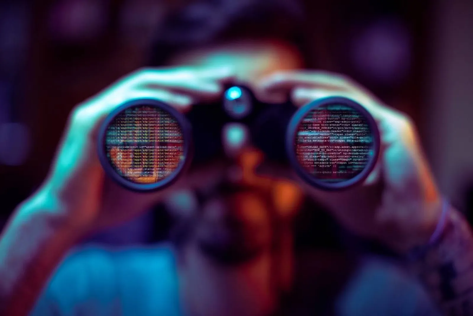 Bug bounty avcısı