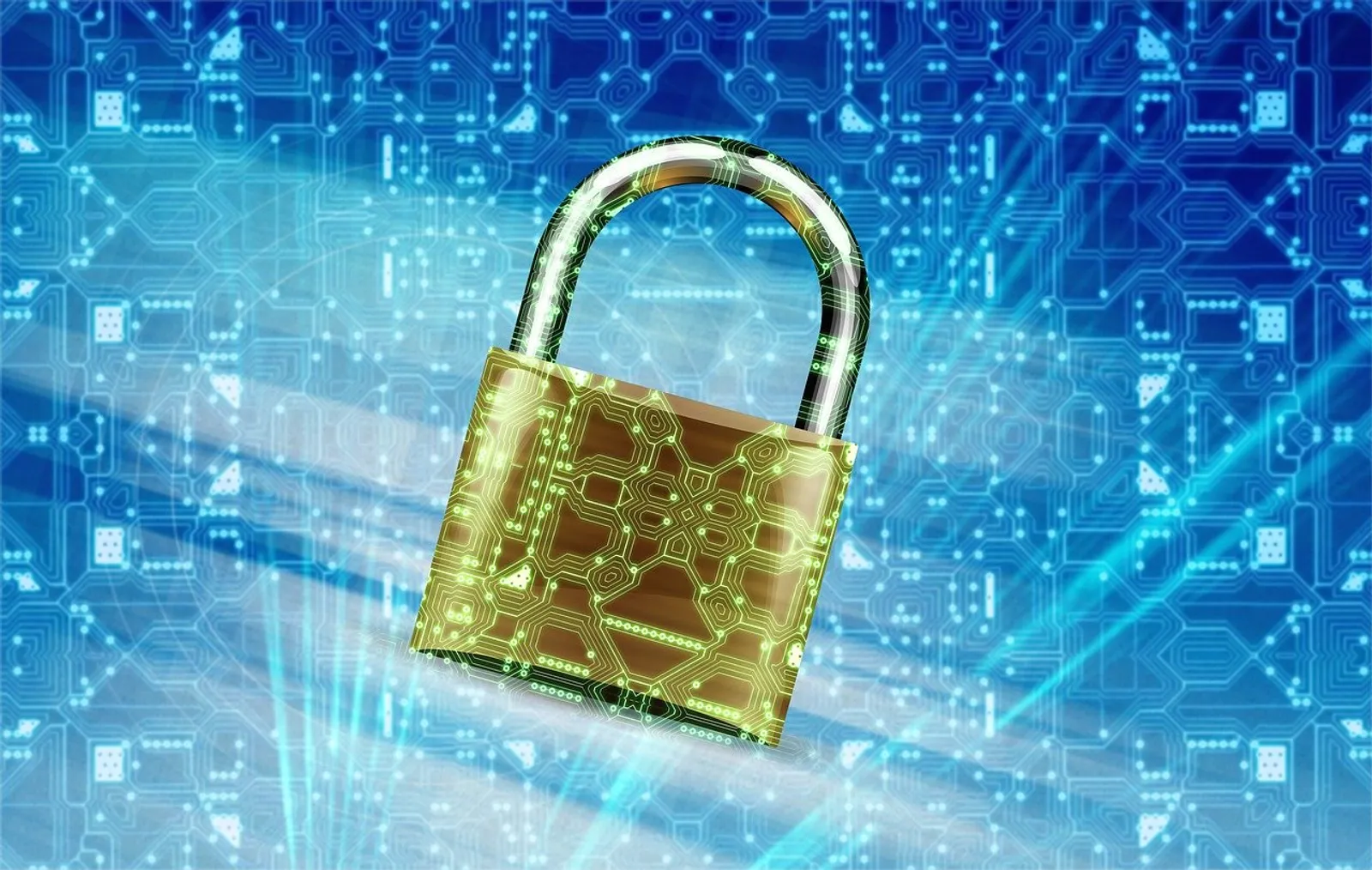 Whitelist ve ICO Güvenliği