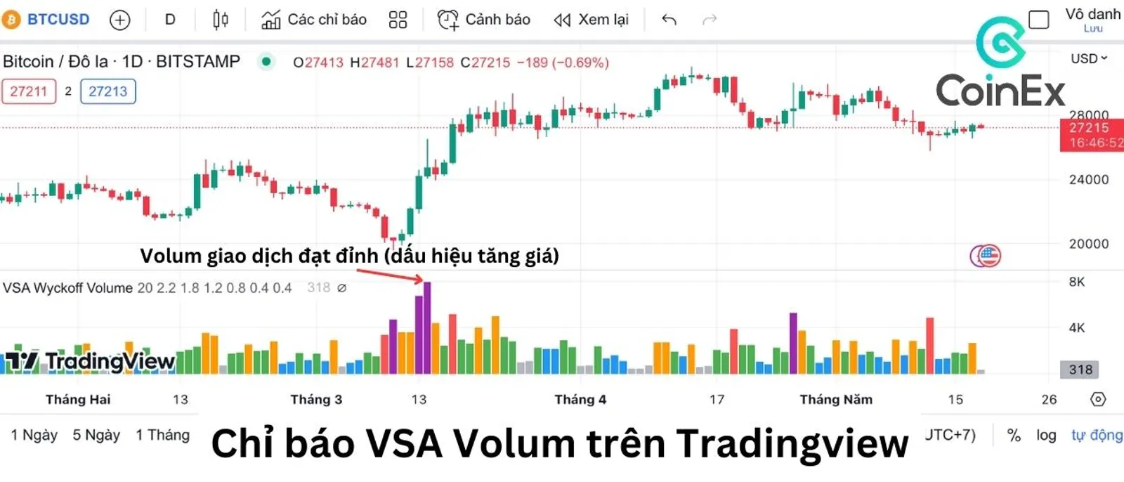chỉ báo VSA Volum trên Tradingview