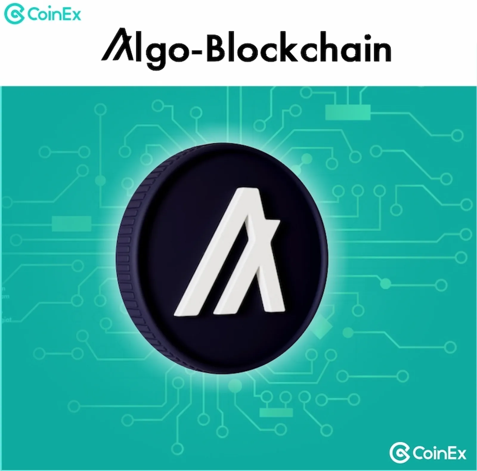 Algorand blockchain