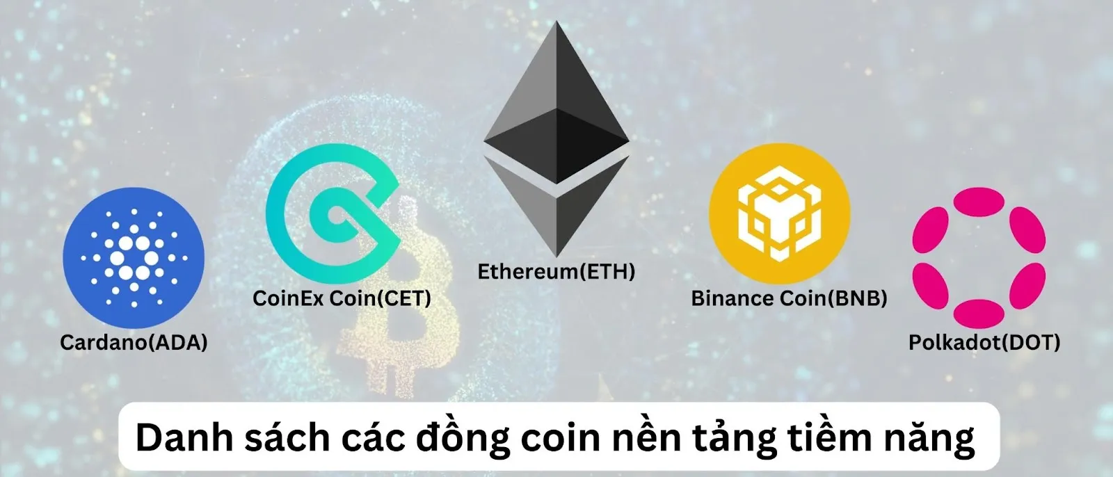 Danh sách các coin nền tảng tiềm năng