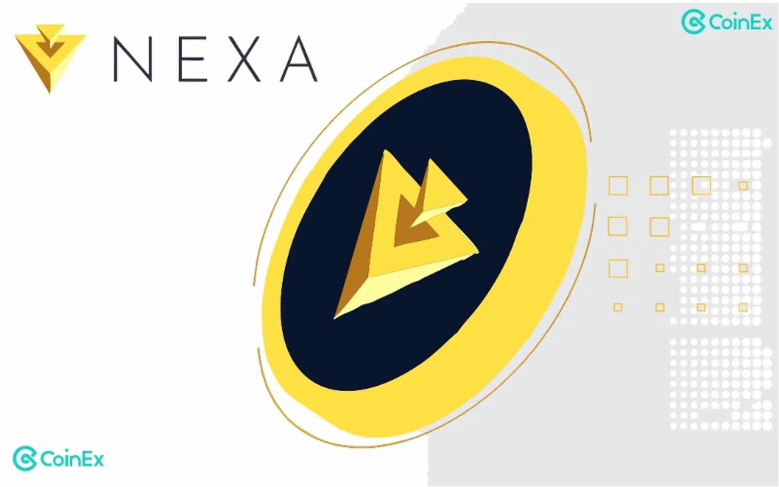 NEXA Blockchain NEXA Coins