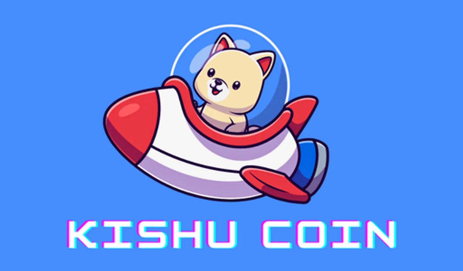 Kishu 코인