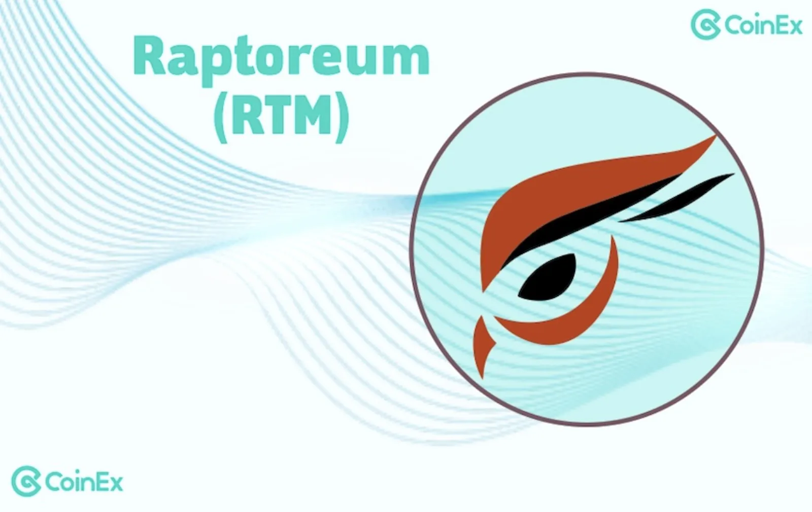 rtm