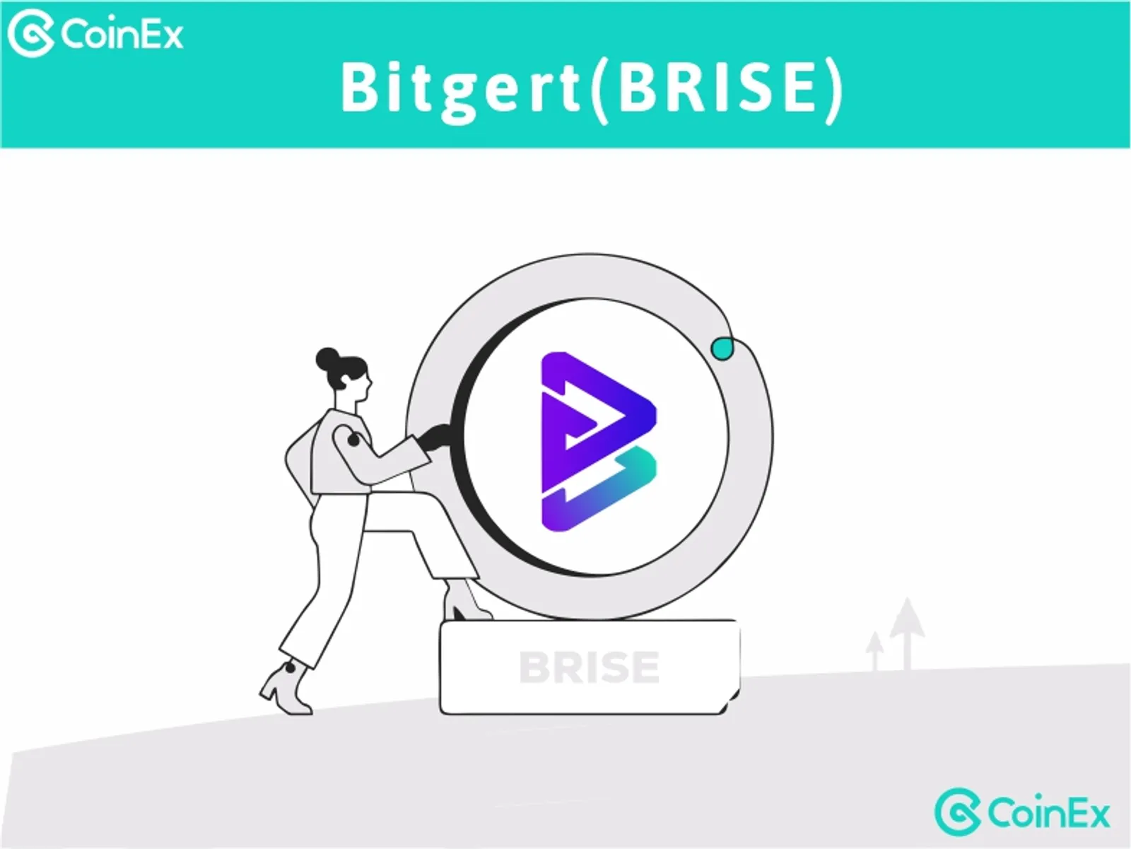 BRISE