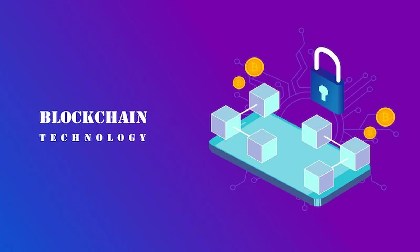Blockchain Technology & Data Privacy
