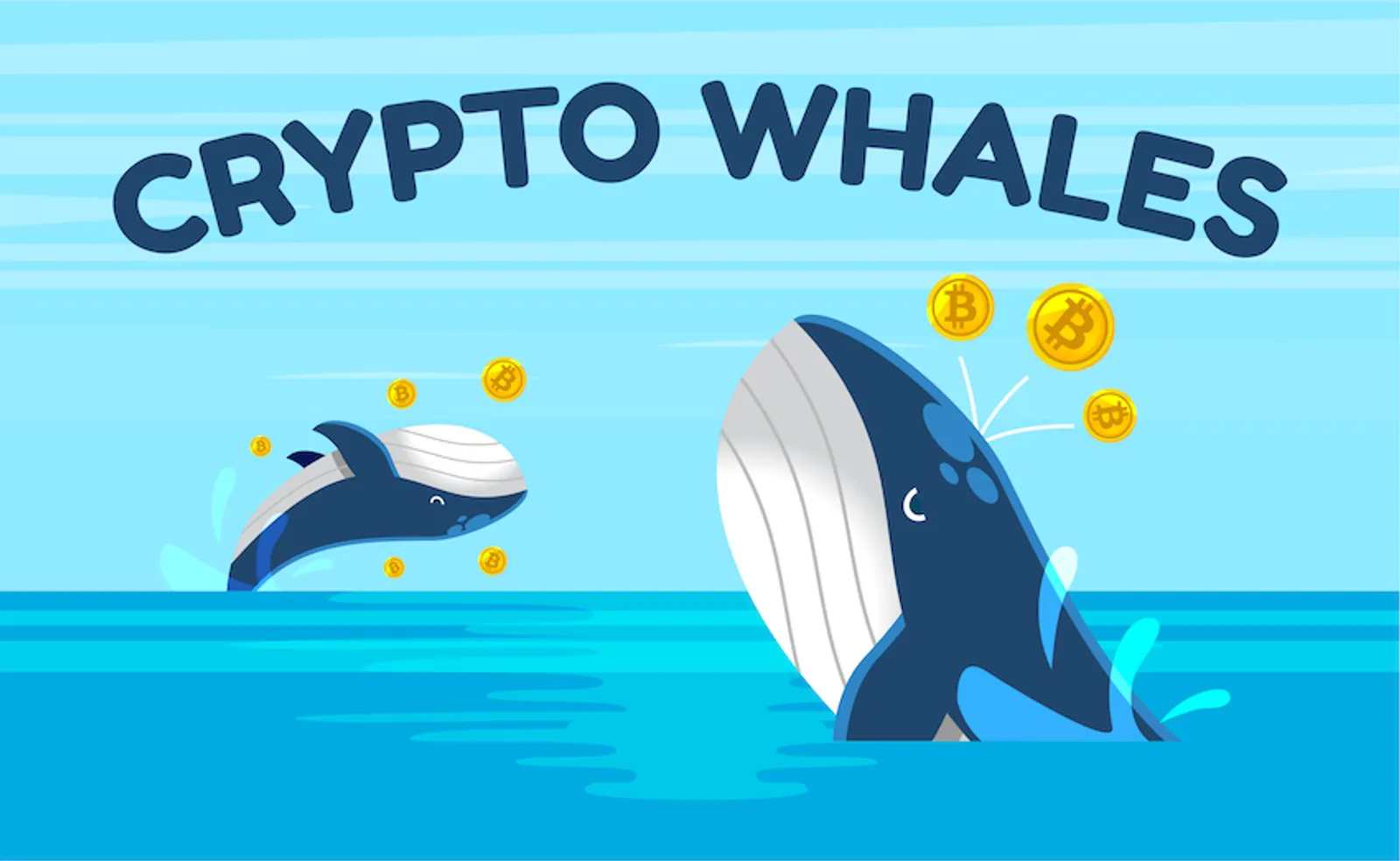 Crypto Whales