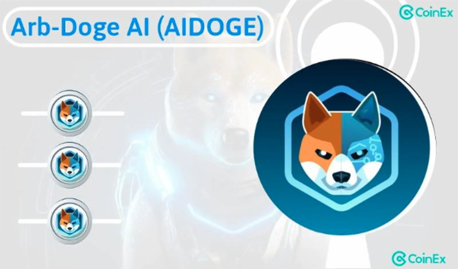 AIDOGE