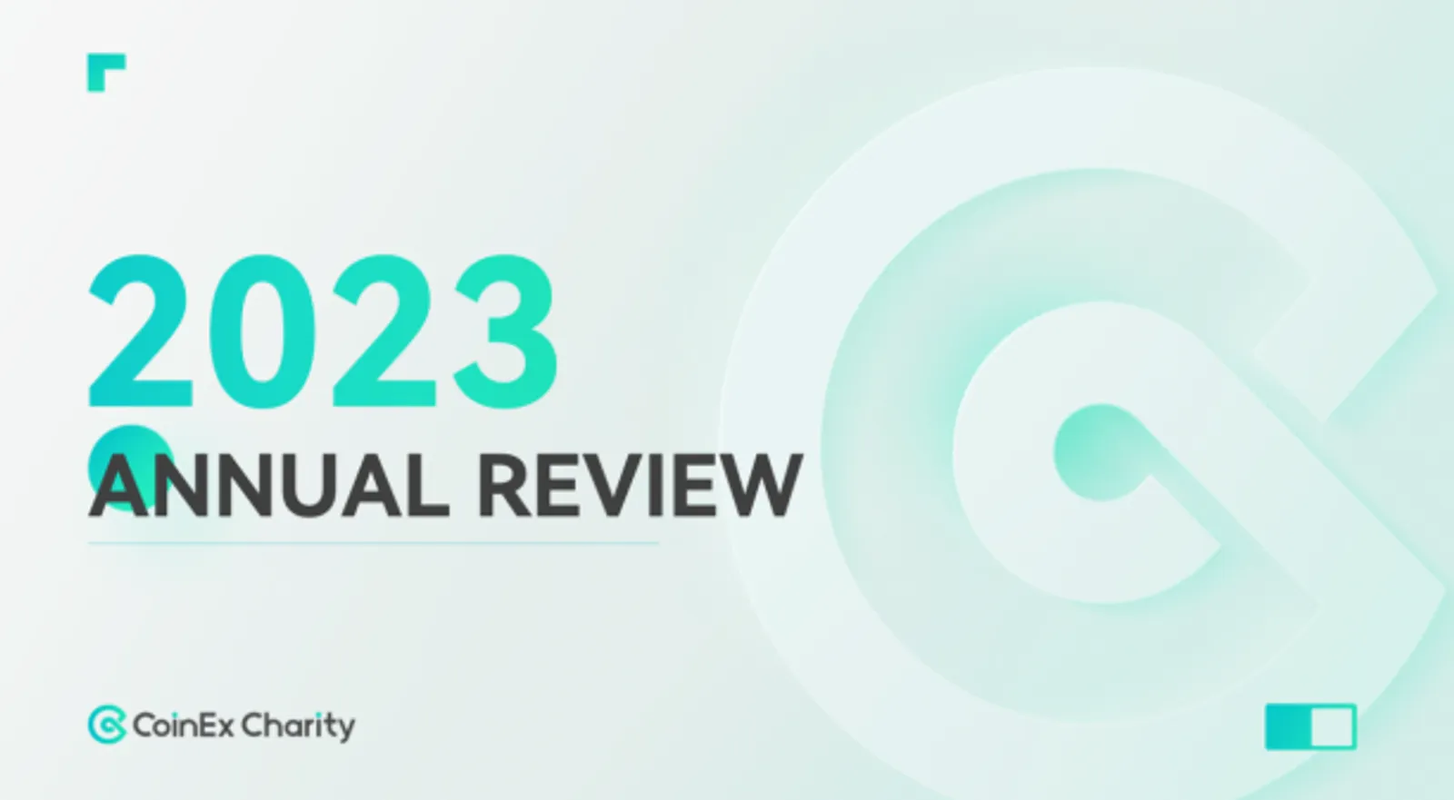 annual review