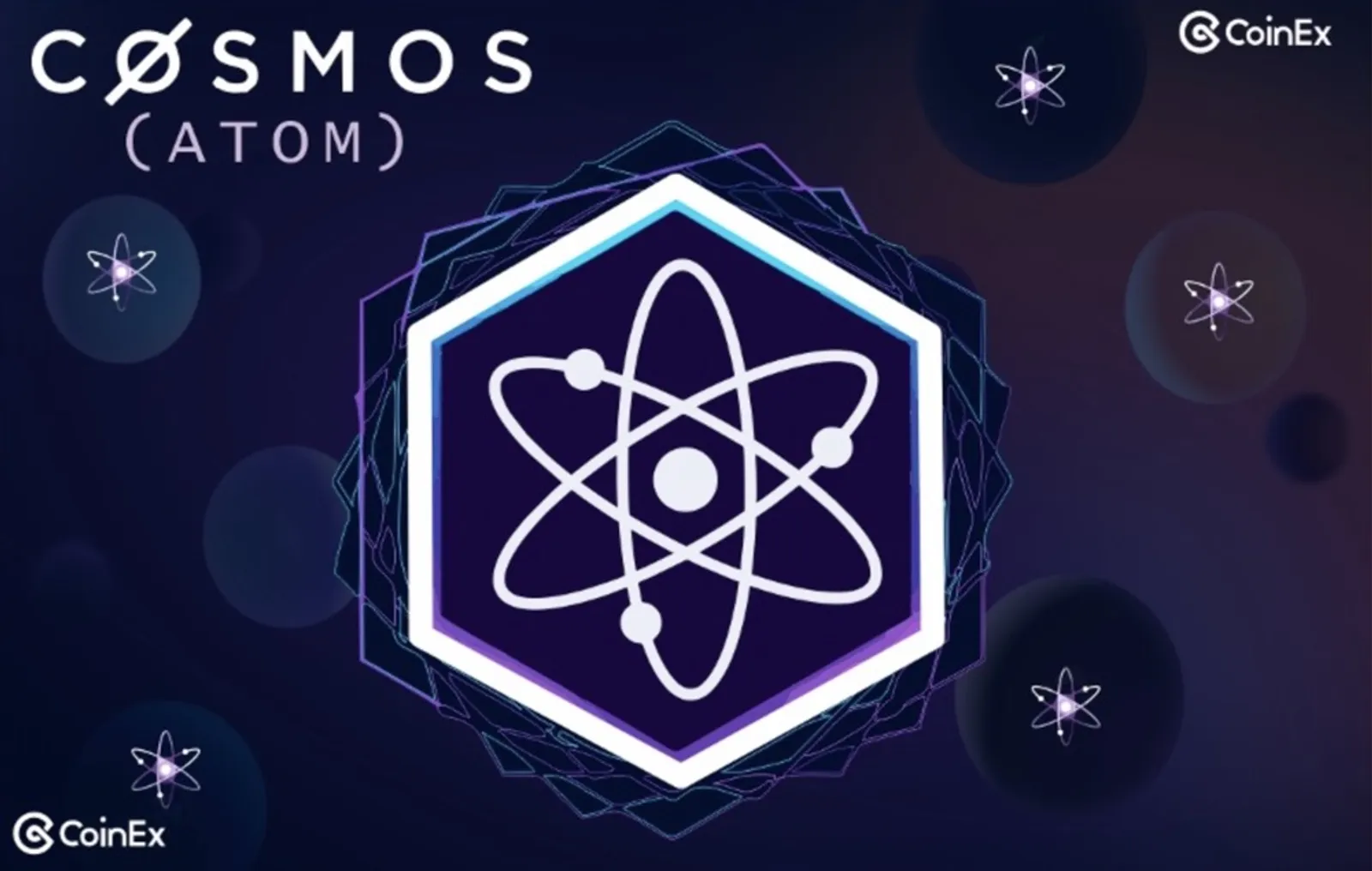 cosmos