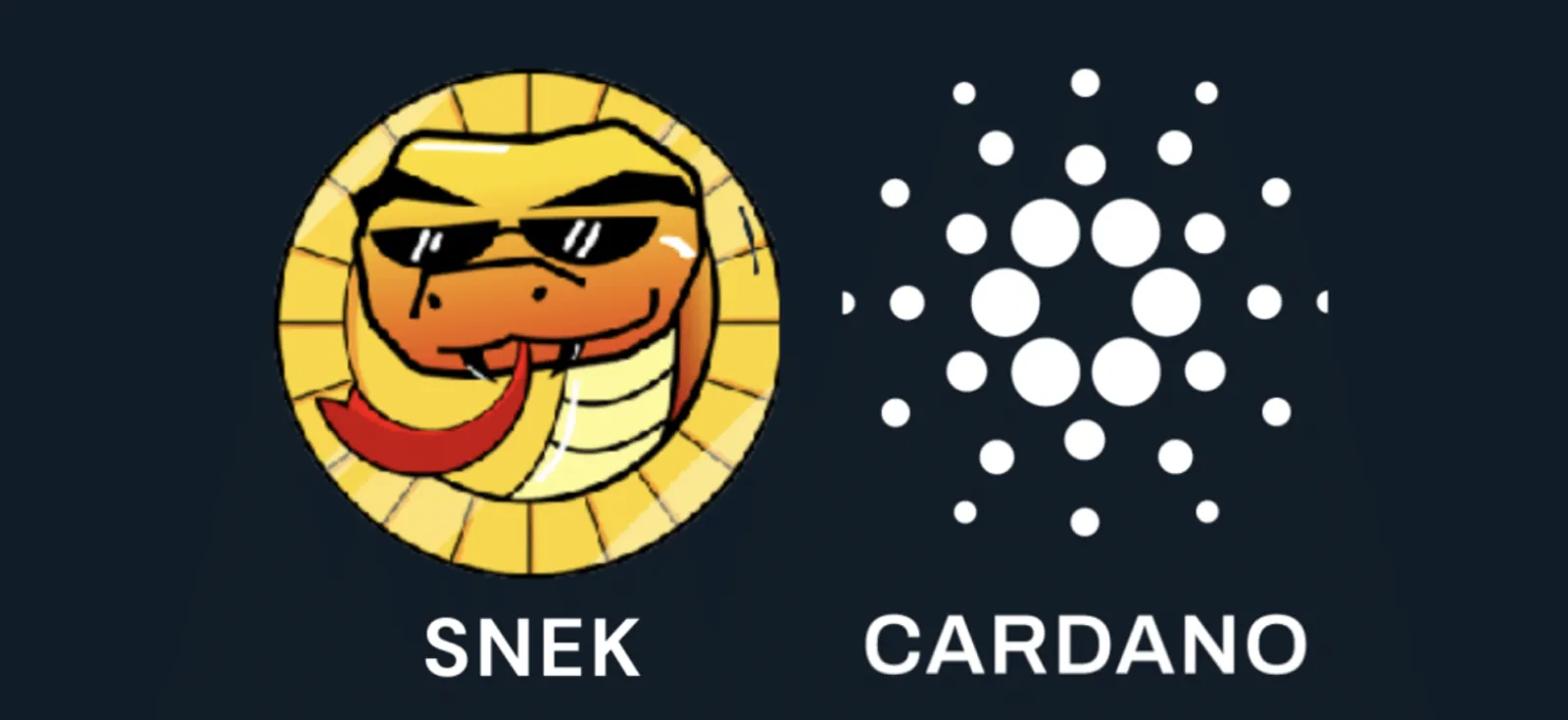 以太坊的强劲竞争者，生态崛起的Cardano - image 8
