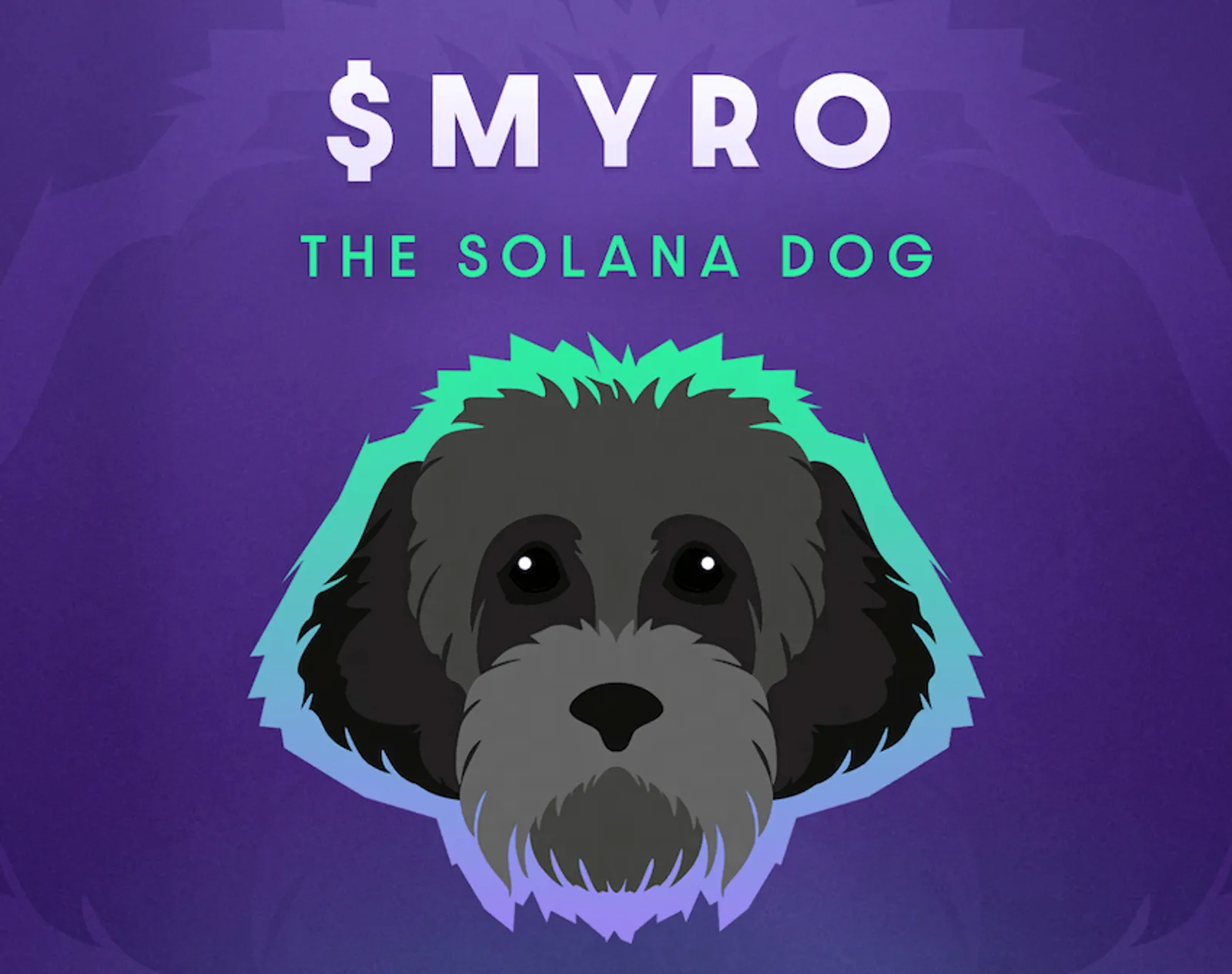 Myro - the Solana dog