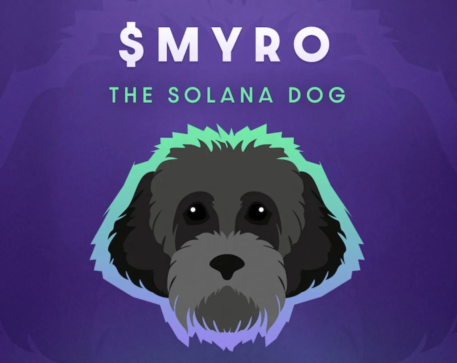 Myro - the Solana dog