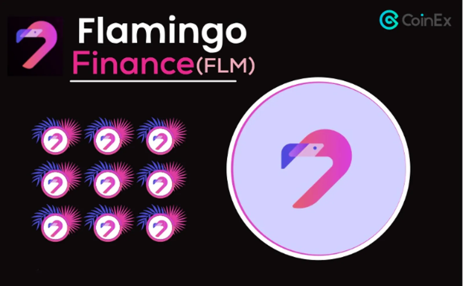 什麼是Flamingo 以及如何購買 FLM 代幣？