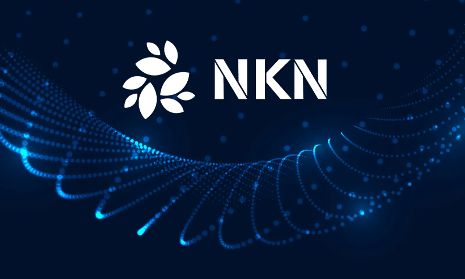 What is New-Kind-of-Network (NKN)?