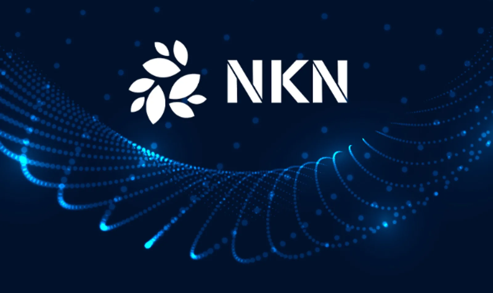 什麼是New-Kind-of-Network (NKN)以及如何購買NKN？
