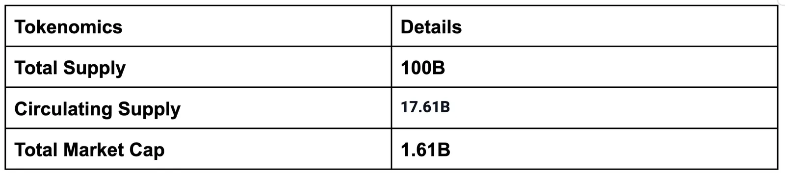 Token Allocation Overview