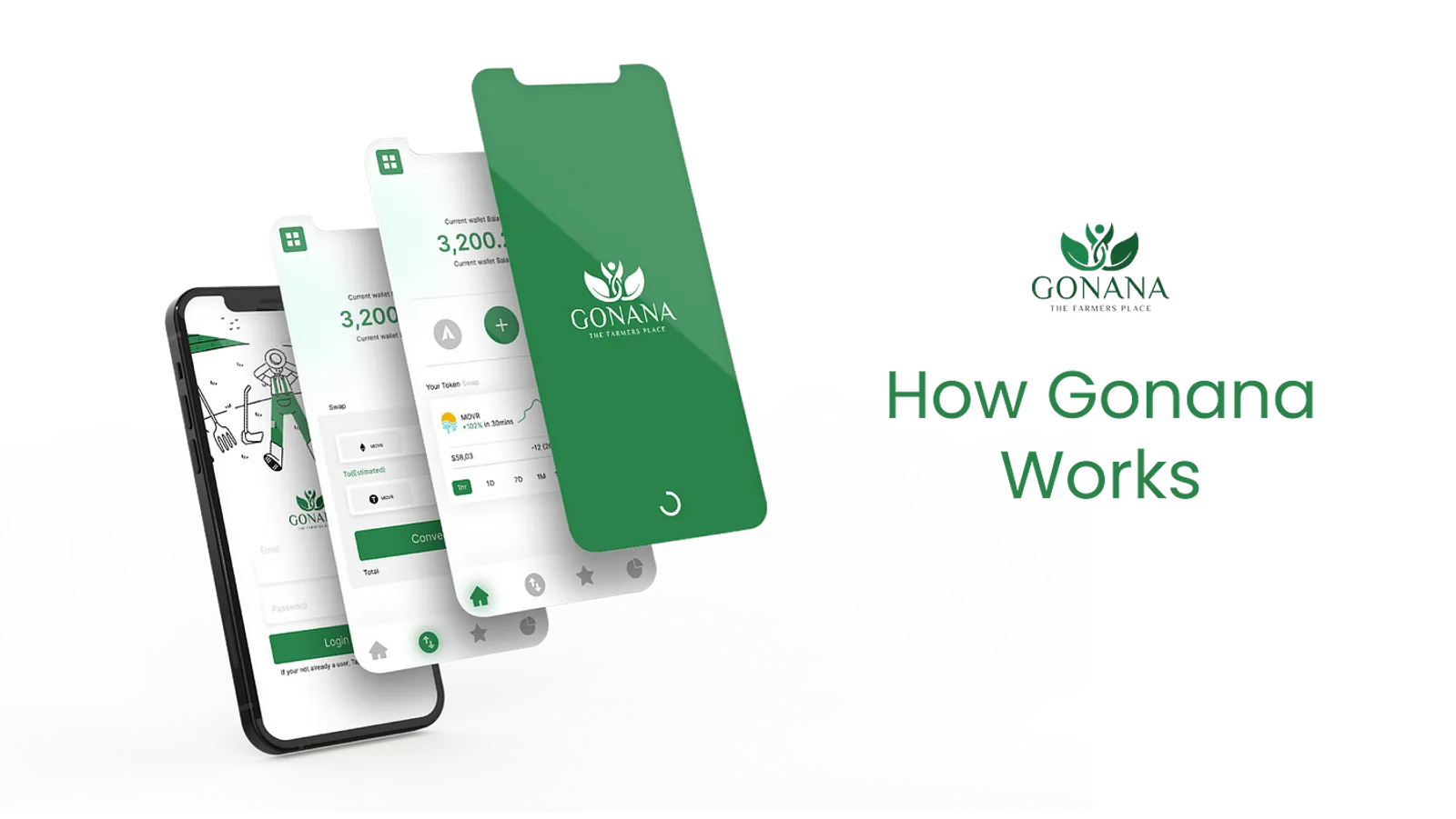 Projeto Gonana, Blast Network