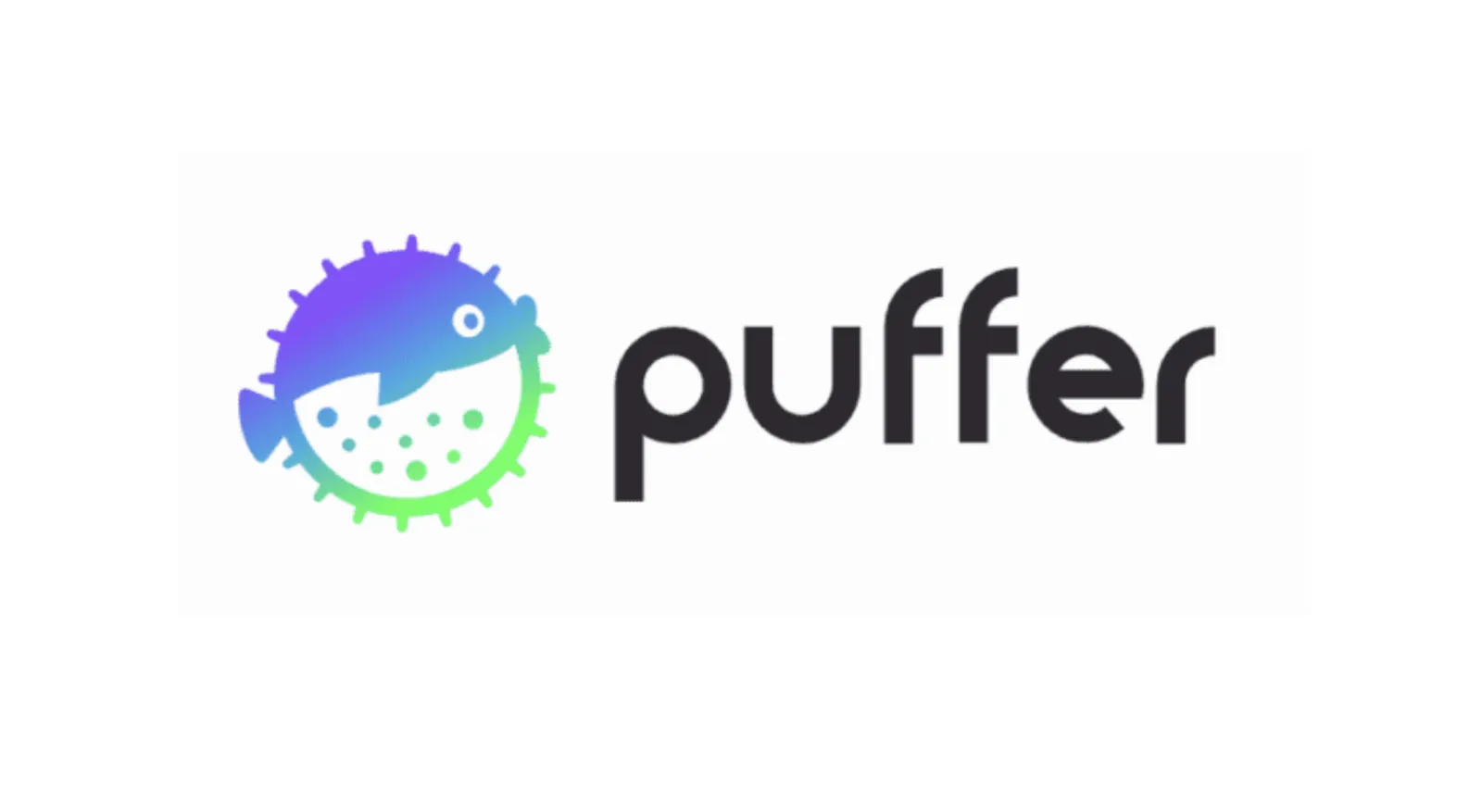 Puffer Finance