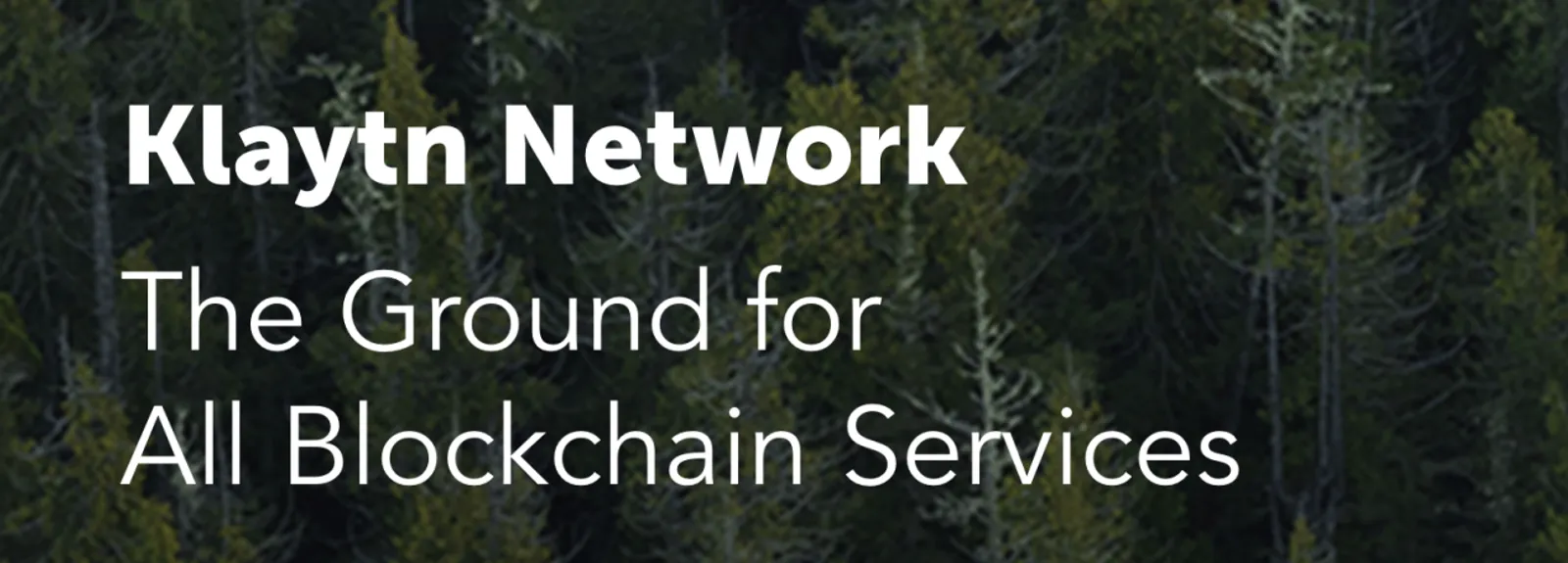 Klaytn Network