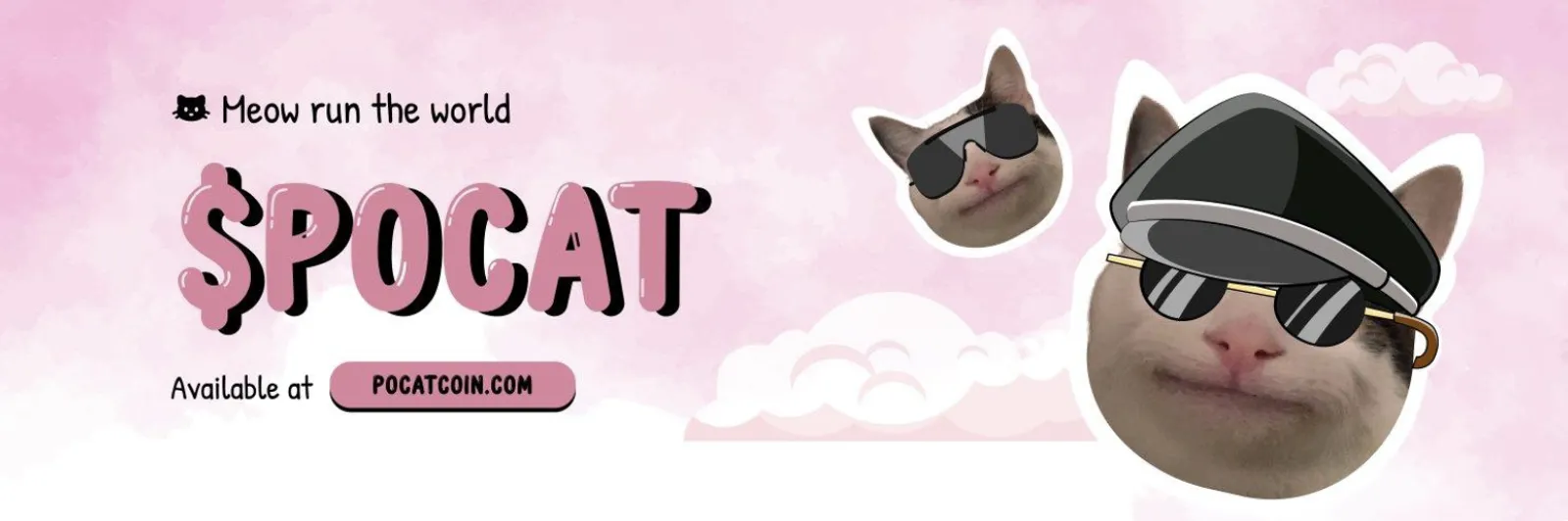 Polite Cat