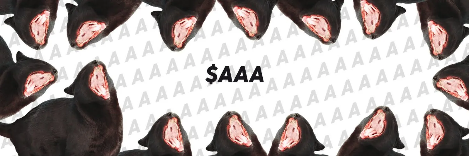 The logo of aaaCat