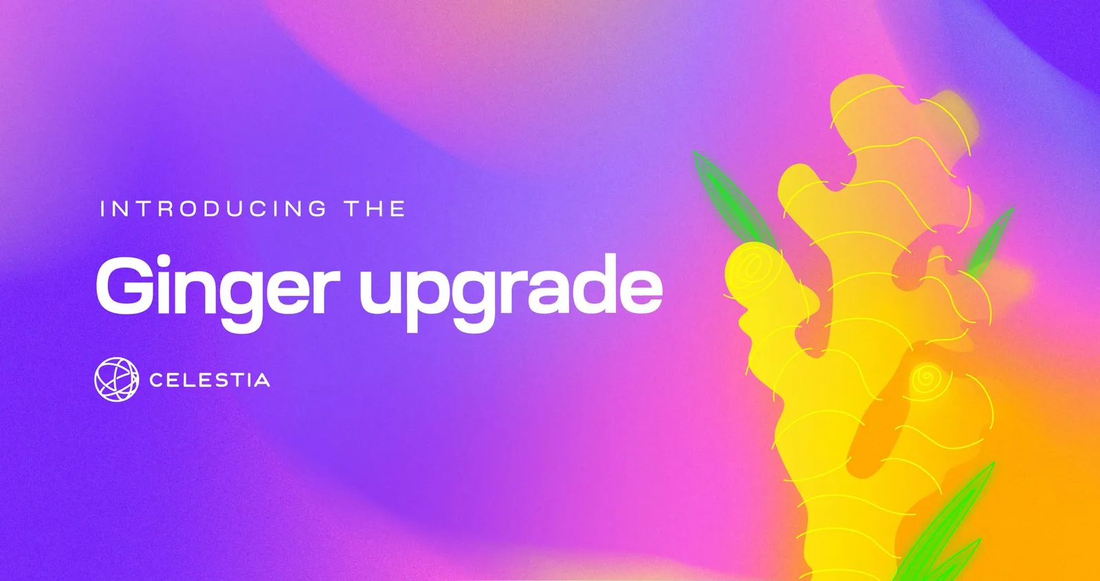 Ginger , a major network upgrade for Celestia