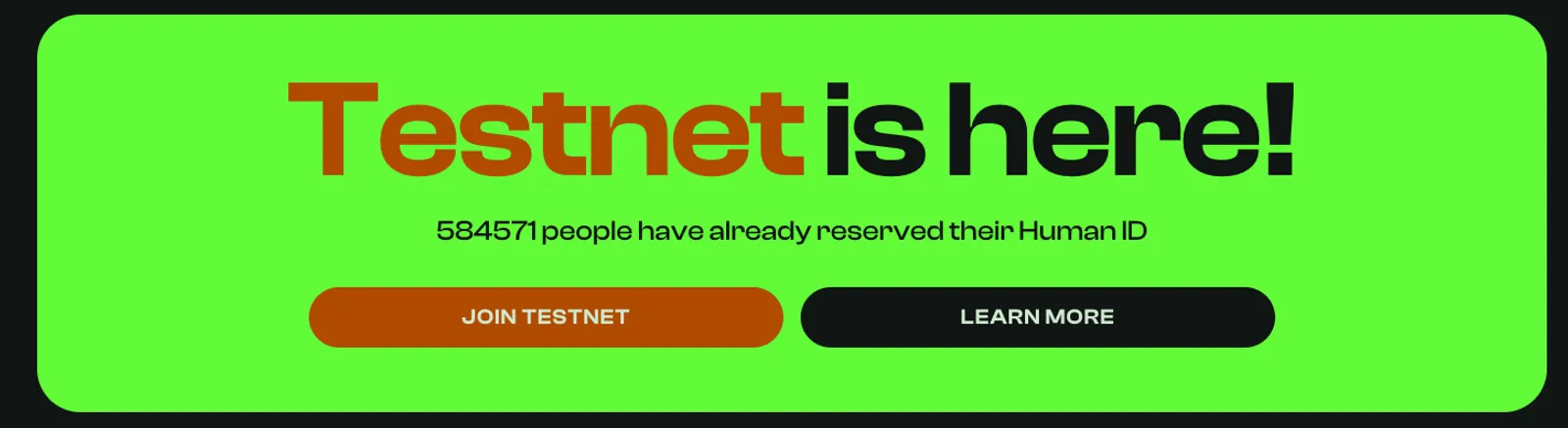 The Launch of Testnet