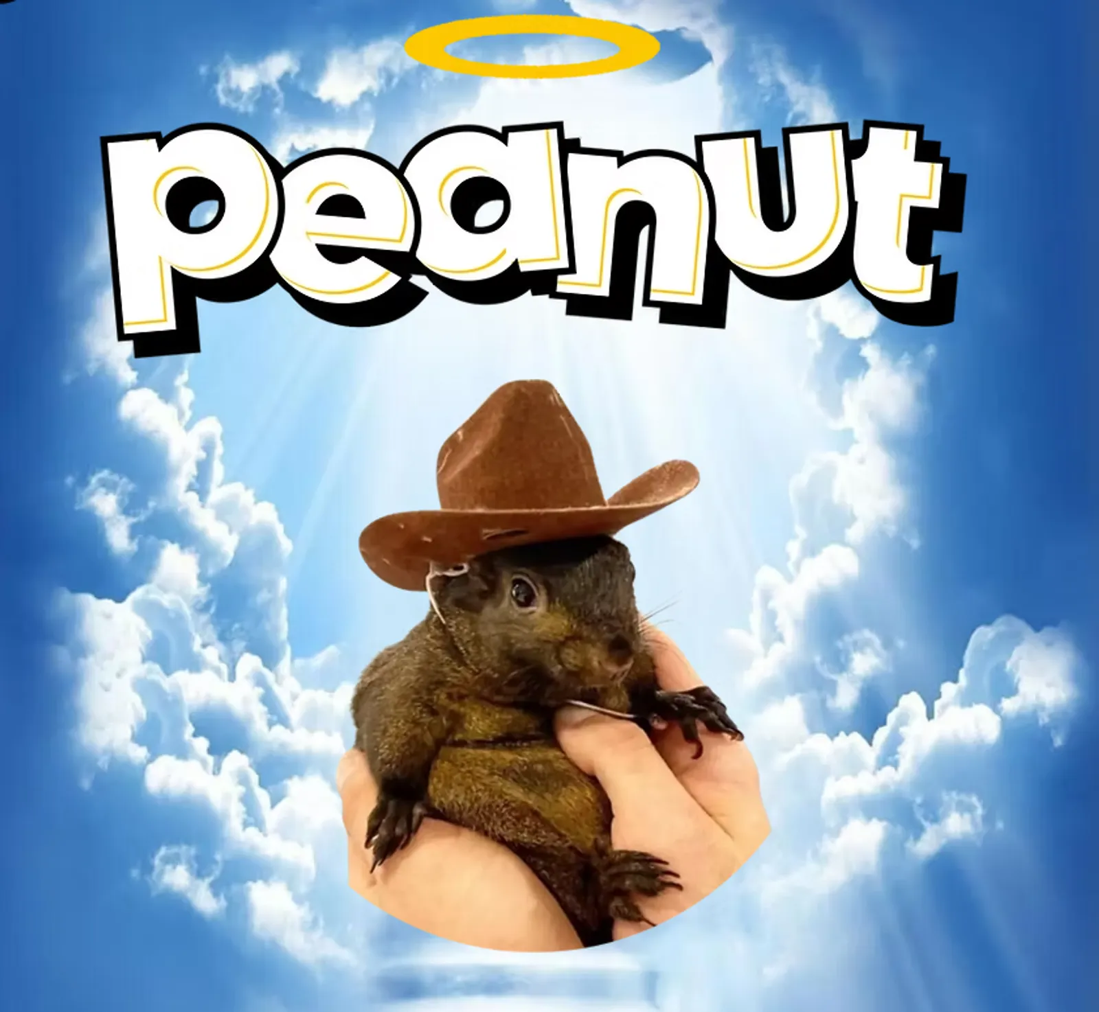 PNUT 코인