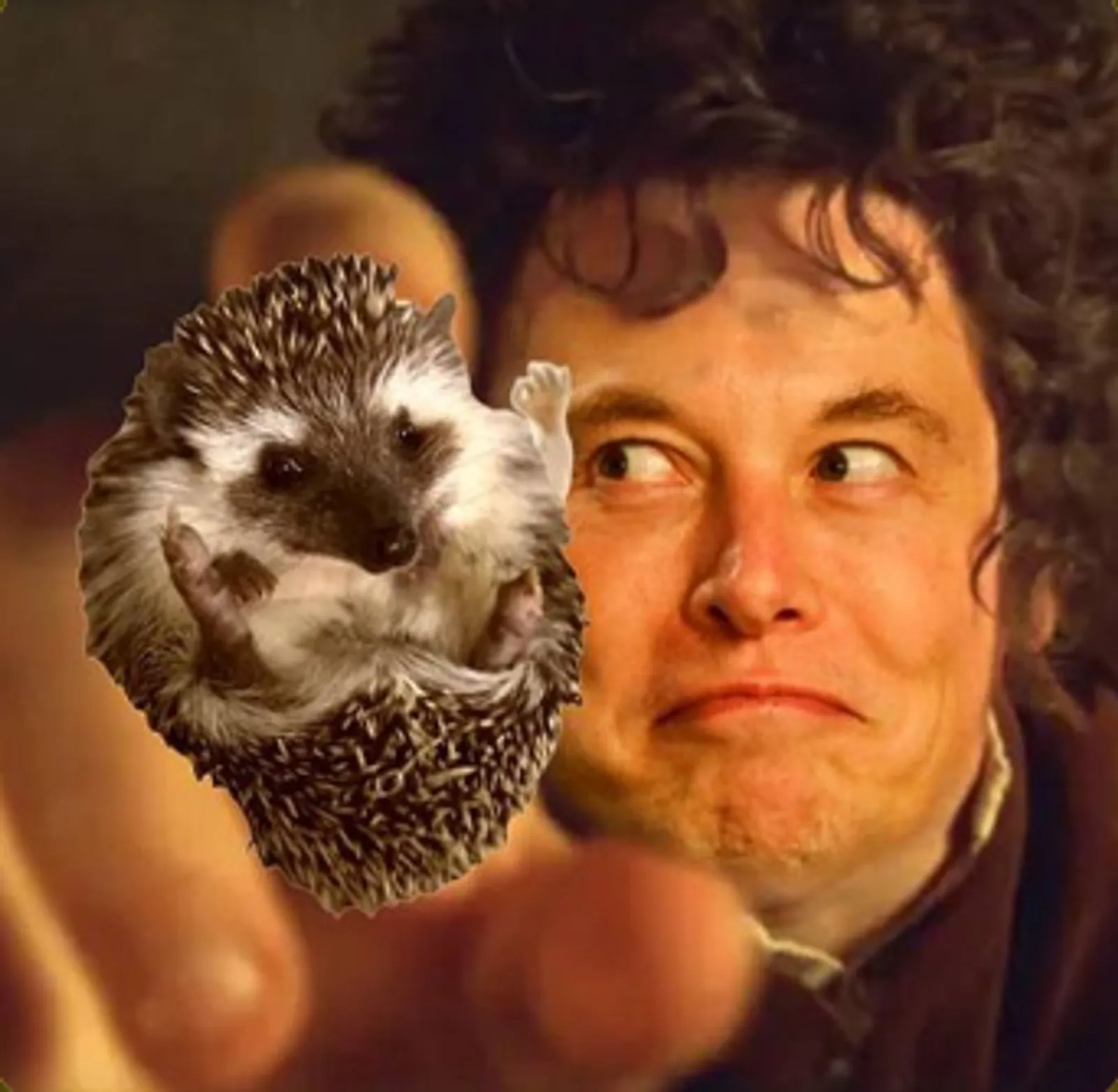 Memecoin de SHRUB