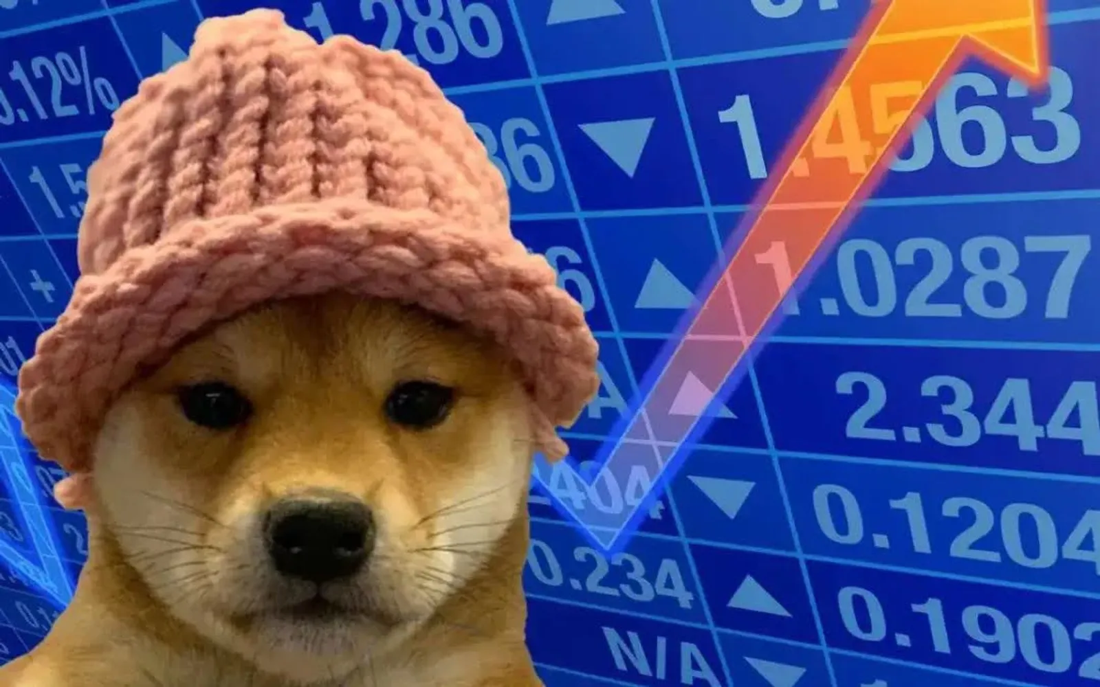 The logo of Dogwifhat